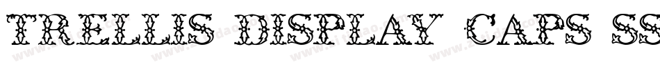 Trellis Display Caps SSi字体转换